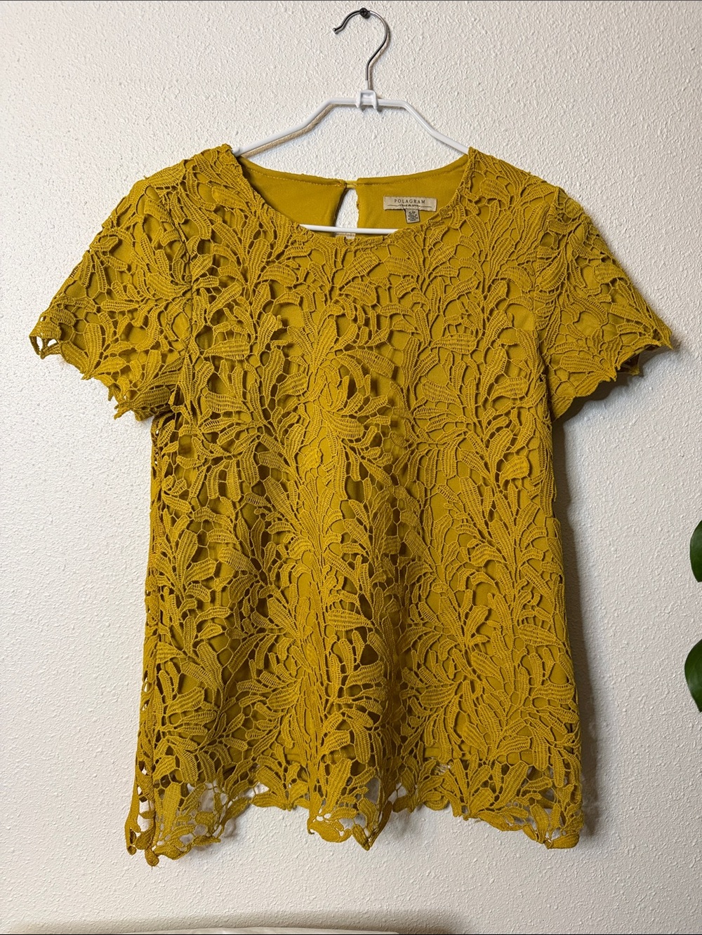Polagram Mustard Crochet Lace Short Sleeve Top